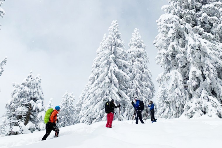 skimo racing