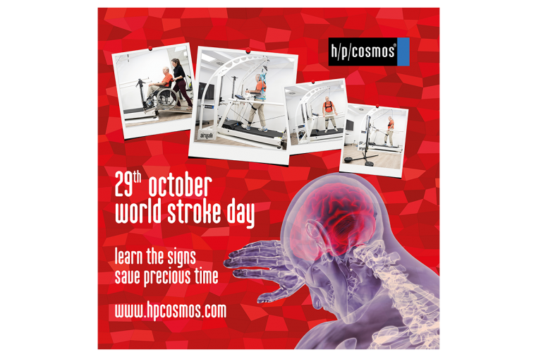 World Stroke Day